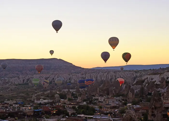 Tulip Cave Отель
